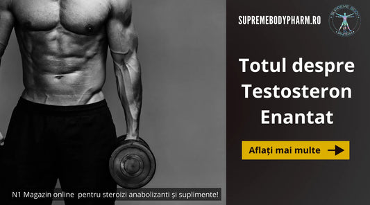 Testosteron Enantat Utilizare și efecte ale steroid anabolic